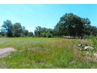 122+/- Acre parcel of land with 56+/- tillable, 65+/- woods, and pasture land plus a small creek running through property.

The cell tower is not included with this farm.
 - Tillable Land, Recreational Land, Woods, Pasture Land & Small Creek